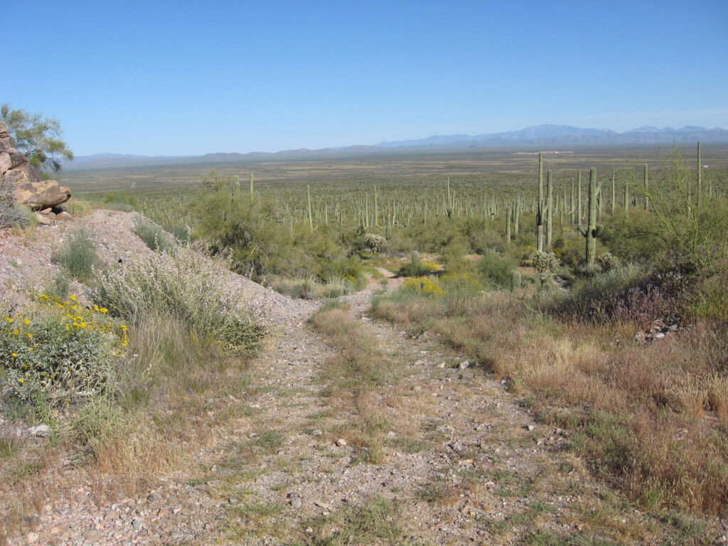 On the way up to the collecting site.