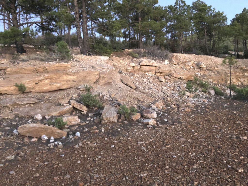 Scheelite collecting area.