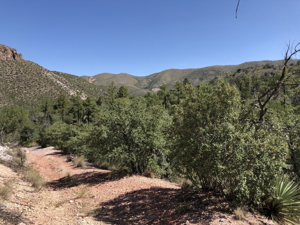 Starting the long hike to the Hilltop mine. You can see the mine dump in the far distance.