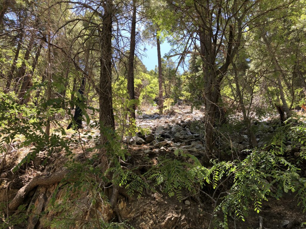 At the bottom of the mine dump looking upward.